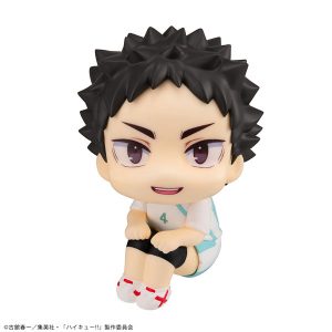Haikyu Hajime Iwaizumi Completed Figure