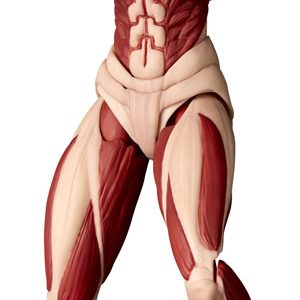 Revoltech Attack on Titan Female Titan Yamaguchi