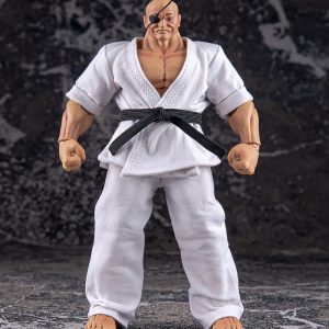 Baki Hanma action figure storm collectibles