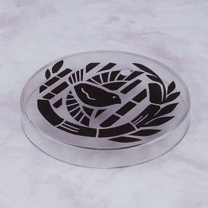 Nendoroid Touken Ranbu Taikokane Sadamune figure