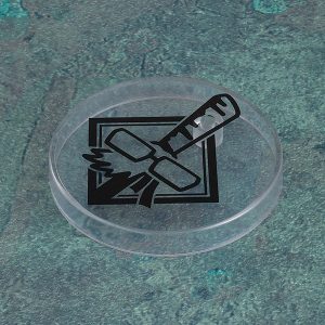 Jujutsu Kaisen Maki Zenin nendoroid figurine