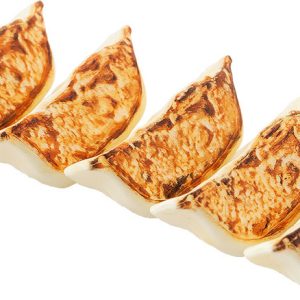 Gyoza 1/1 plastic model