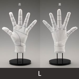 Hand model gloves wireframe artist support