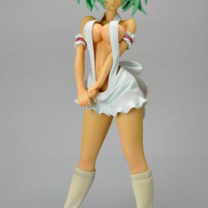 TFC Ikki Tousen GG Ryofu Hossen Apron ver 18 Completed Fig Taki Corp