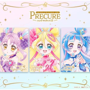 PreCure Card Wafer candy toy box